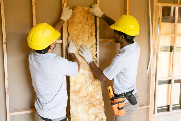 Professional Insulation in Bensville, MD